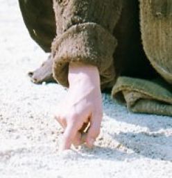 Jesus writing in sand